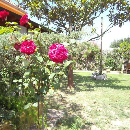 Hosteria Las Fuentes Rubayo Kültér fotó